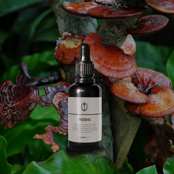 Organic Reishi Mushroom Extract 2oz